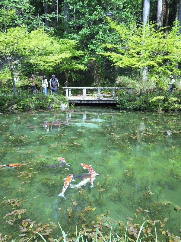 【佐賀県内/博多駅発】 涼を求めて!避暑地・上高地、森林浴・赤沢森林鉄道3日間3